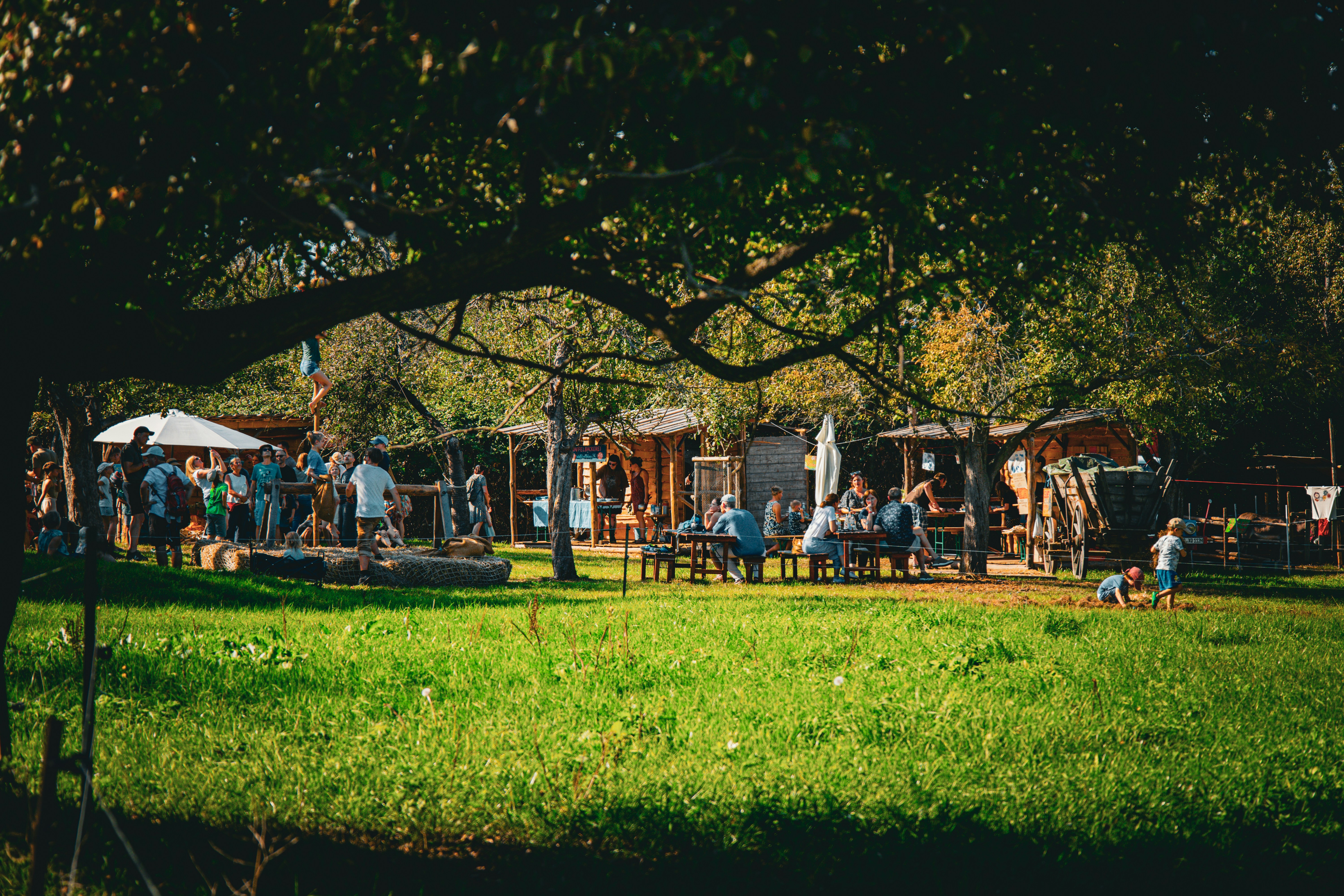 An outdoor community gathering under trees
