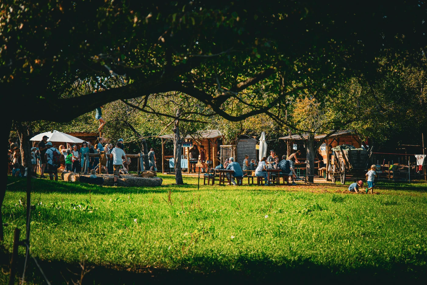An outdoor community gathering under trees